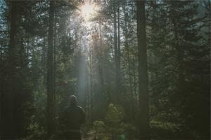 Why boredom is the new luxury